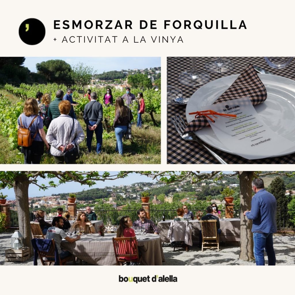 Desayuno de tenedor y la actividad de viña