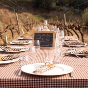 Calçotada dans les vignobles