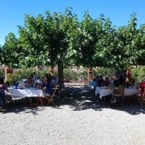 Fork breakfast + Pruning activity (copia)