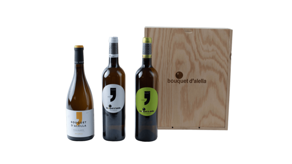Lot pour Blanc Lovers 3