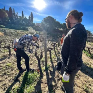 Desayuno de tenedor con taller de poda