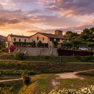 VIBRA – Apéro Sunset entre les vignes