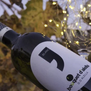 Wine tasting and tapas – Christmas edition